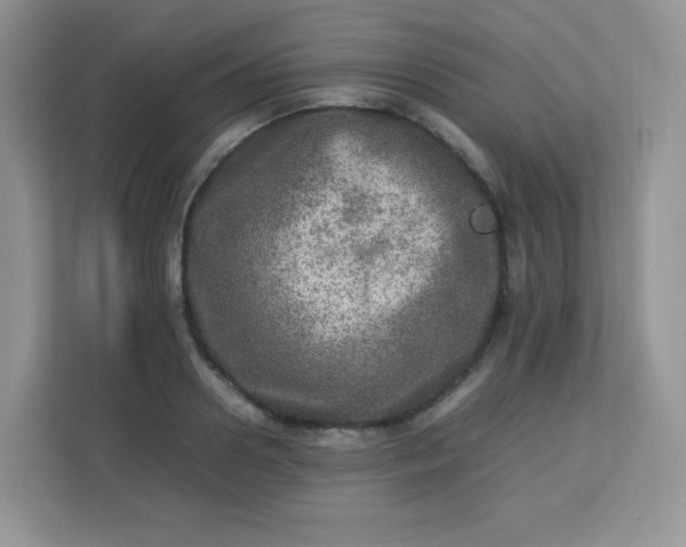 X0000113310938200909281122