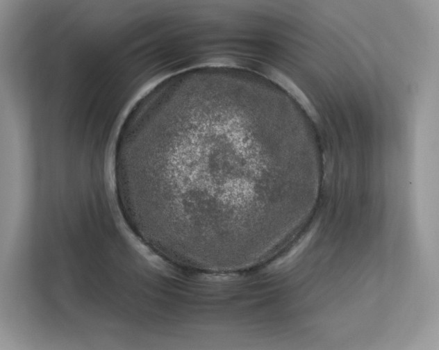 X0000113310939200909281122