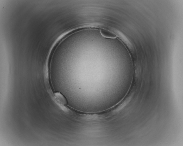 X0000113310940200909281122