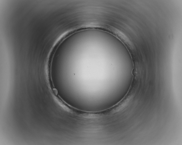 X0000113310942200909281122