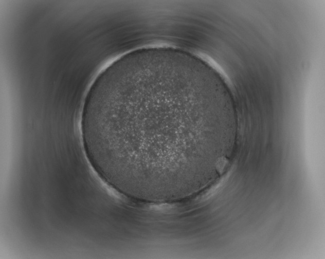 X0000113310943200909281122