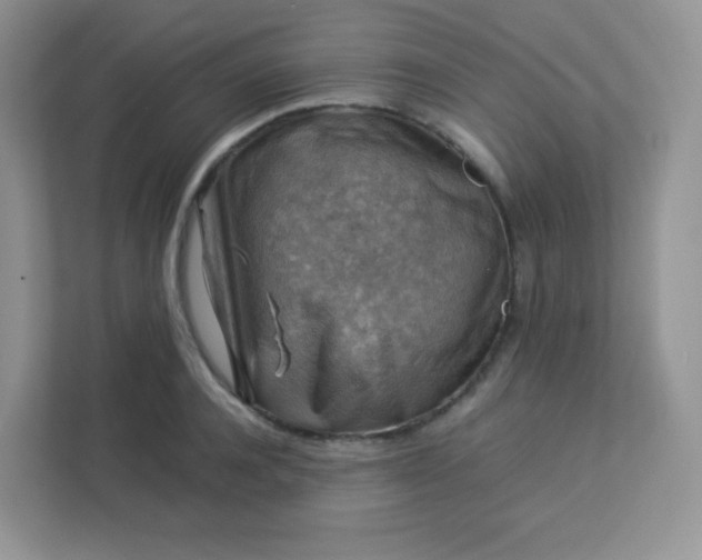 X0000113310944200909281122