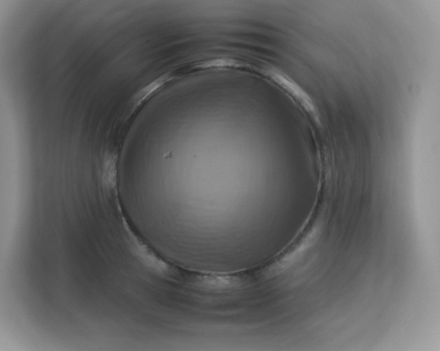 X0000113310945200909281122