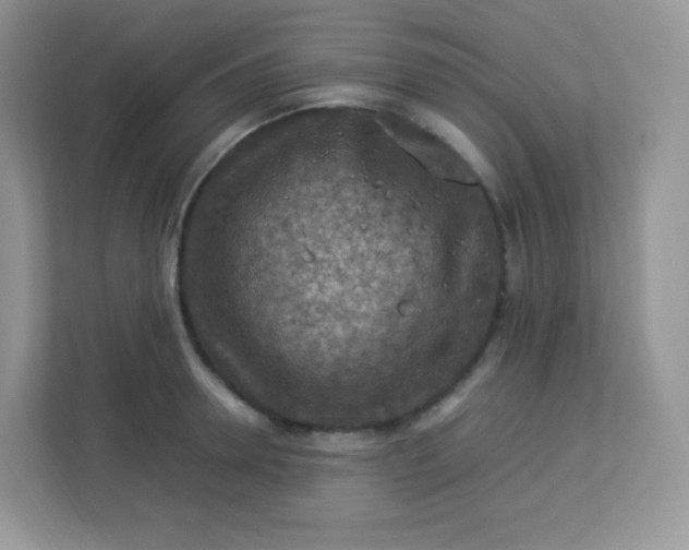 X0000113310946200909281122