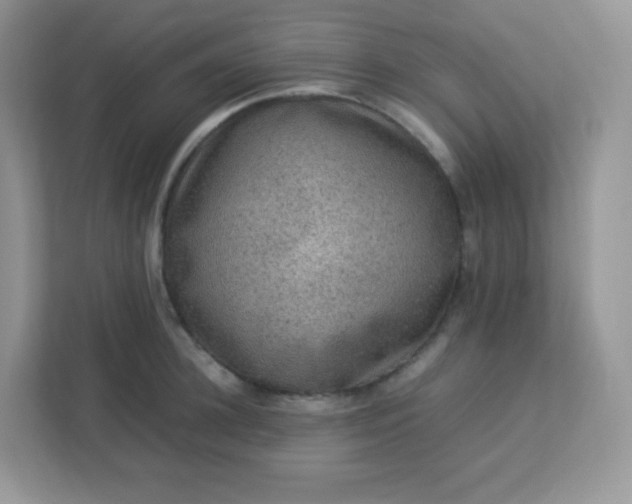 X0000113310948200909281122