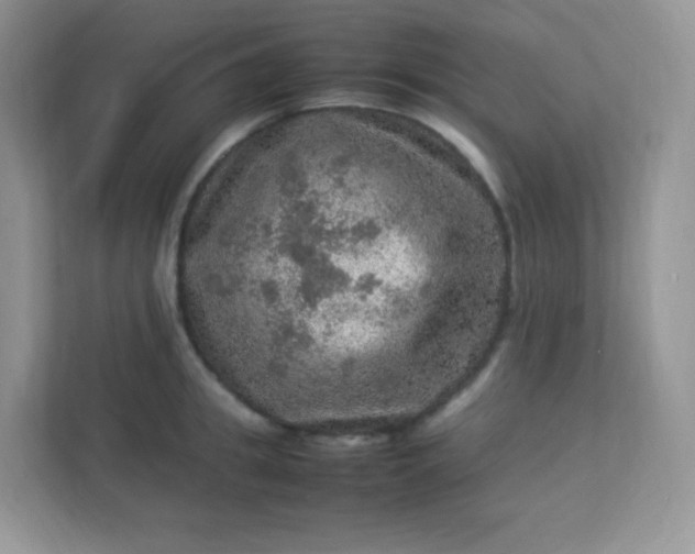 X0000113310949200909281122