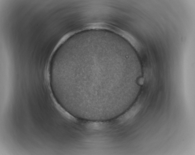 X0000113310950200909281122