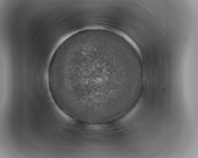 X0000113310951200909281122