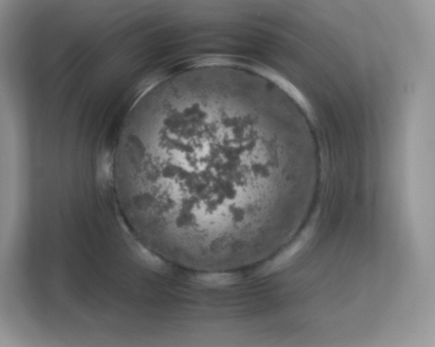 X0000113310953200909281122