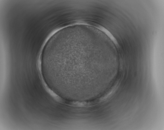 X0000113310955200909281122