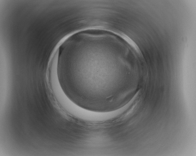 X0000113310956200909281122