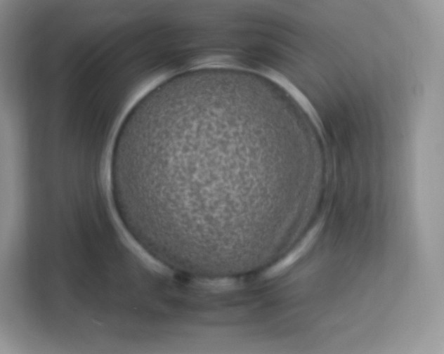 X0000113310957200909281122