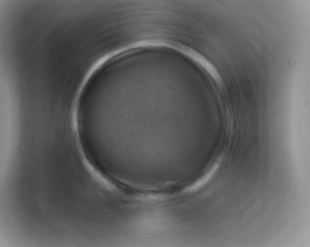 X0000113310958200909281122