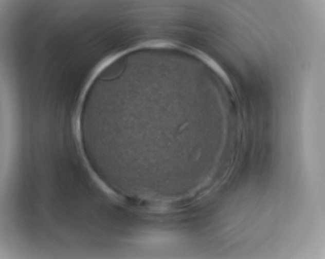 X0000113310959200909281122