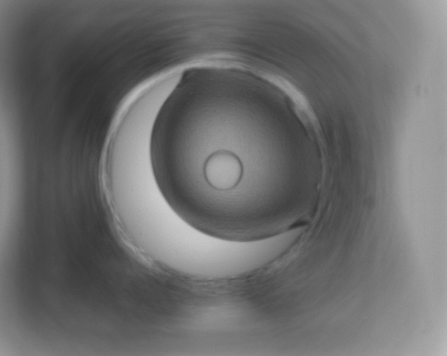 X0000113310960200909281122