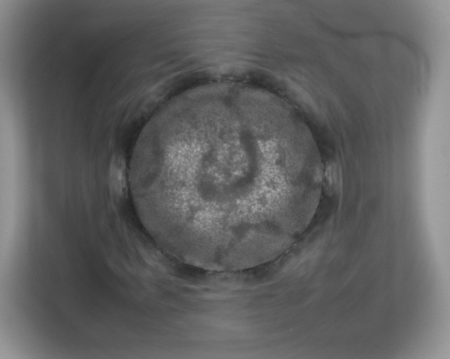 X0000113310963200909281121