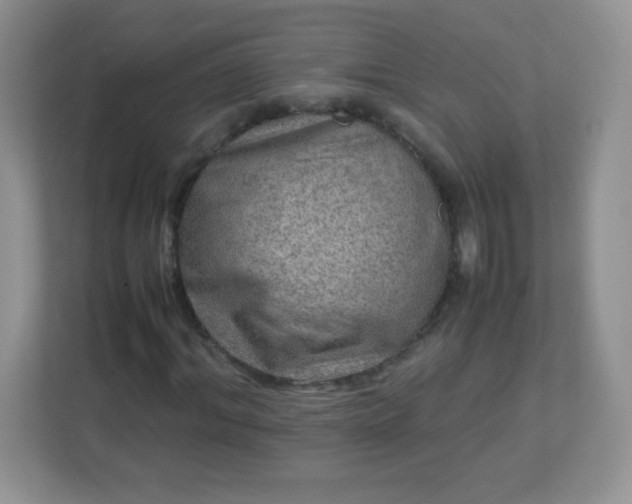 X0000113310964200909281121