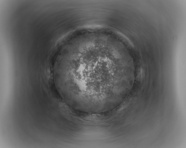 X0000113310966200909281121