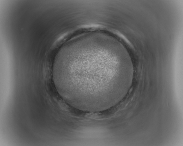 X0000113310967200909281121