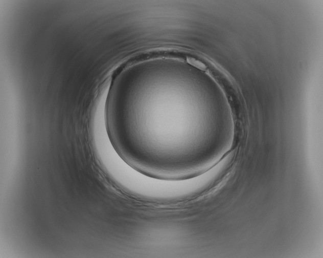 X0000113310969200909281121