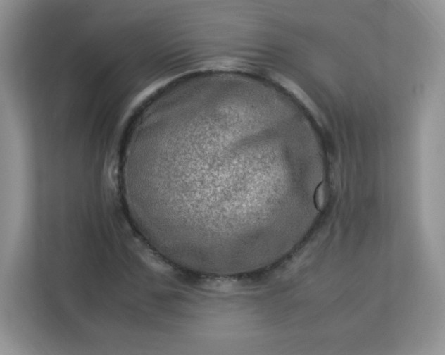 X0000113310971200909281121