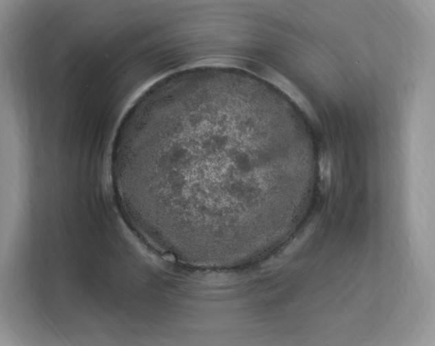 X0000113310972200909281121