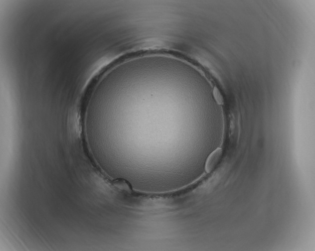 X0000113310973200909281121