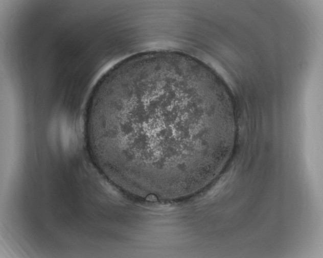 X0000113310975200909281121