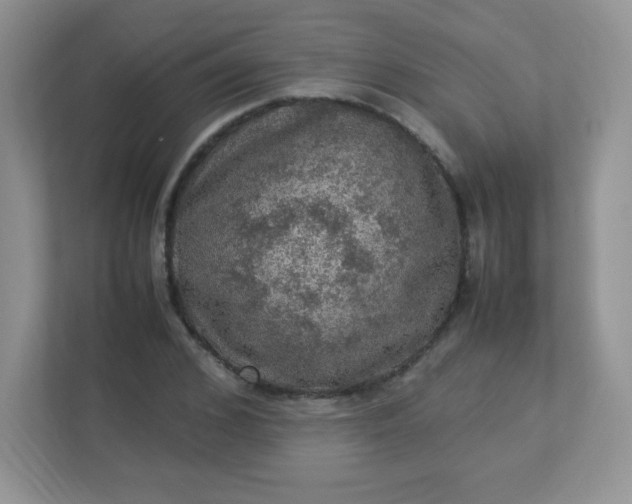 X0000113310976200909281121