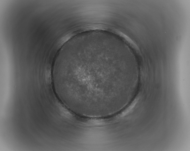 X0000113310977200909281121