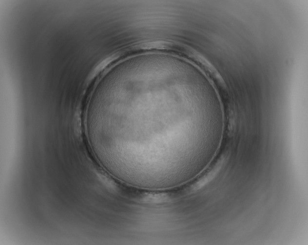 X0000113310978200909281121