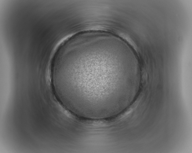 X0000113310979200909281121