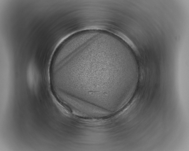 X0000113310980200909281121