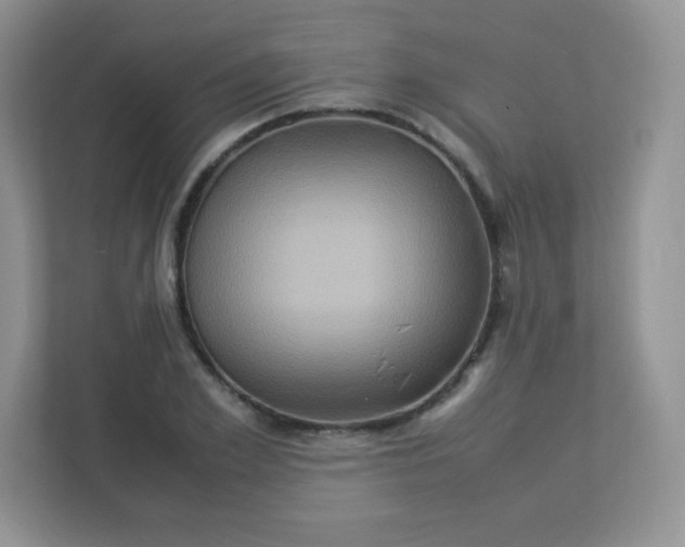 X0000113310981200909281121