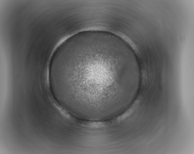 X0000113310982200909281121