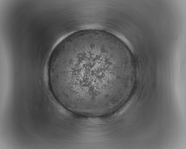 X0000113310983200909281121