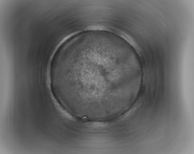 X0000113310984200909281121