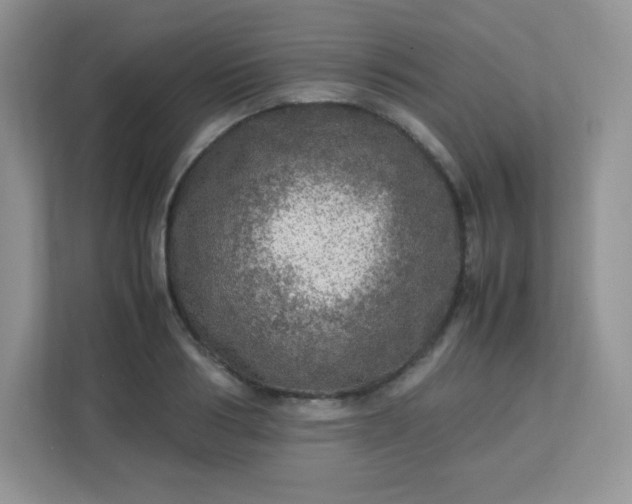 X0000113310986200909281121