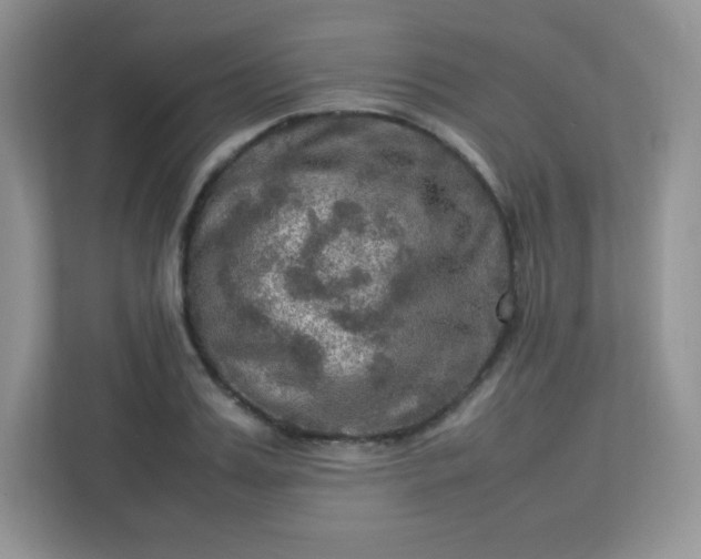 X0000113310987200909281121