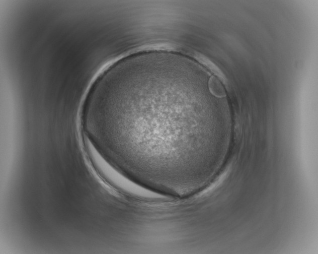 X0000113310989200909281121