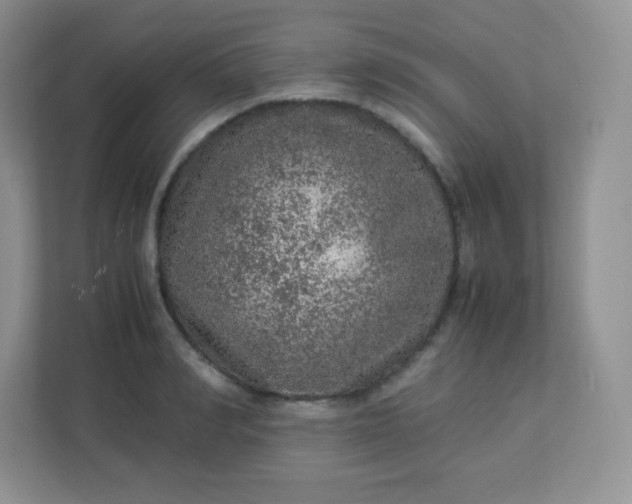 X0000113310990200909281121