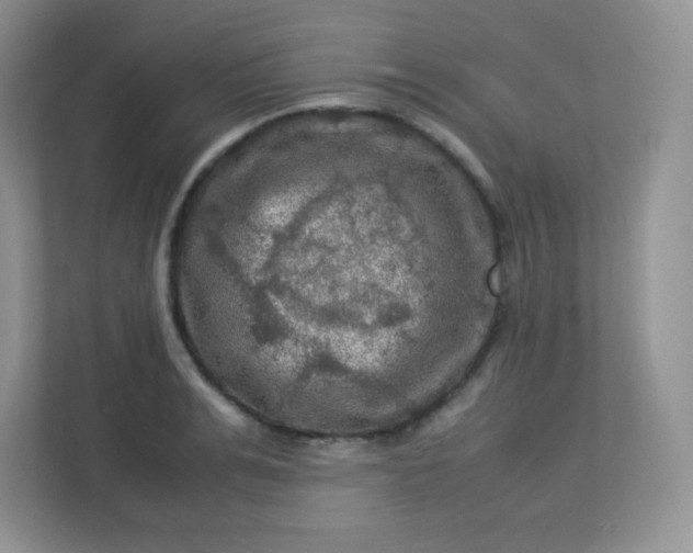 X0000113310991200909281121