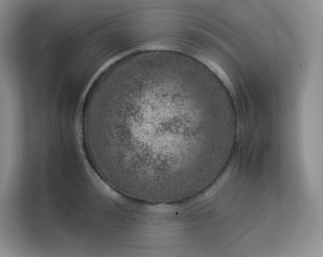 X0000113310992200909281121