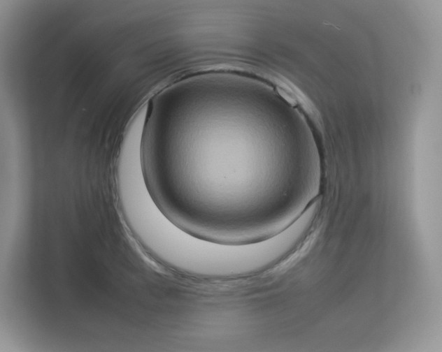 X0000113310993200909281121