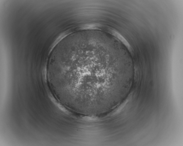 X0000113310994200909281121