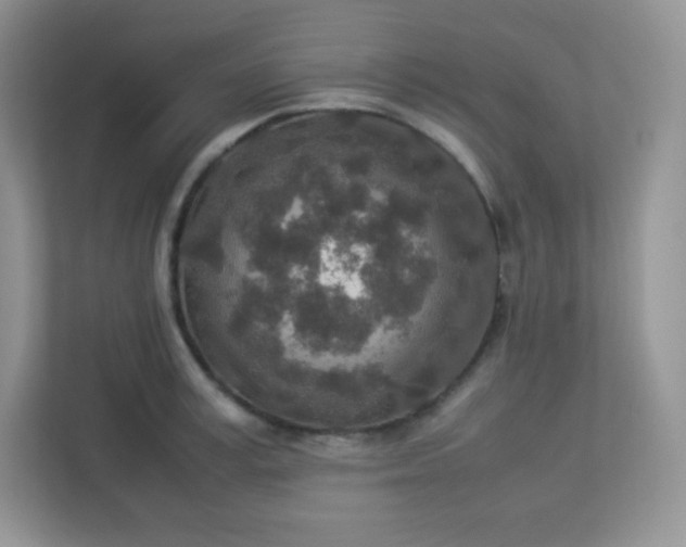 X0000113310995200909281121