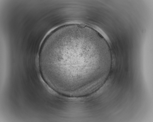 X0000113310996200909281121