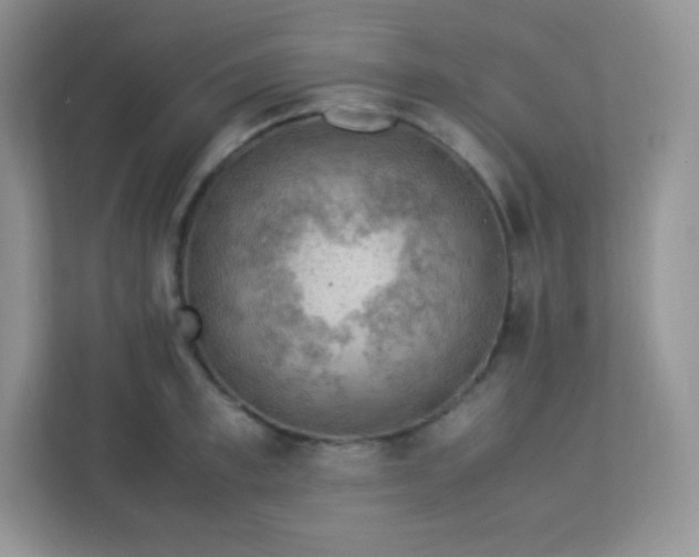 X0000113310997200909281121