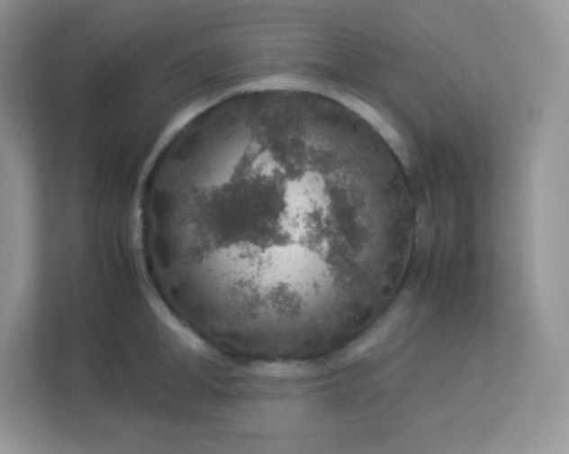 X0000113310998200909281121