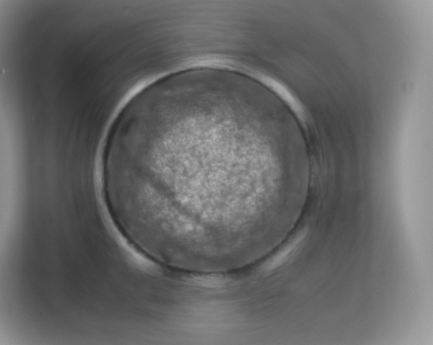 X0000113310999200909281121